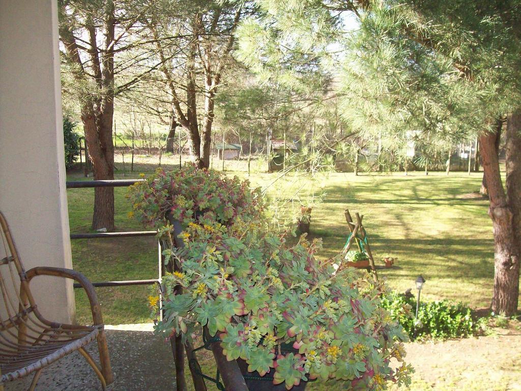 Campo Alle Monache Bed & Breakfast Bucine