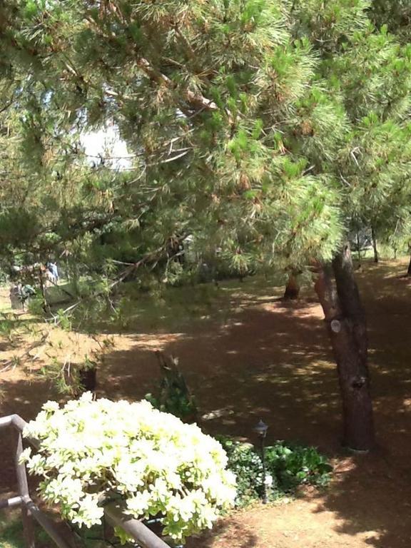 Campo Alle Monache *