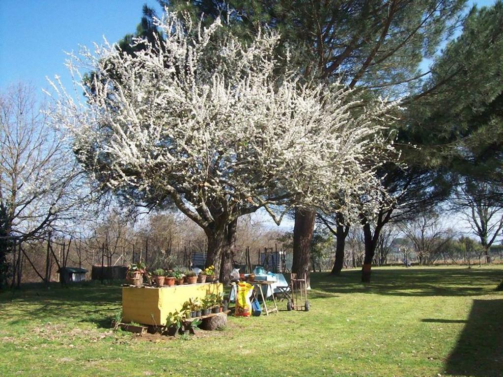 Campo Alle Monache Bed & Breakfast Bucine