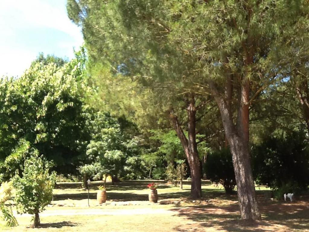 Campo Alle Monache * Bucine