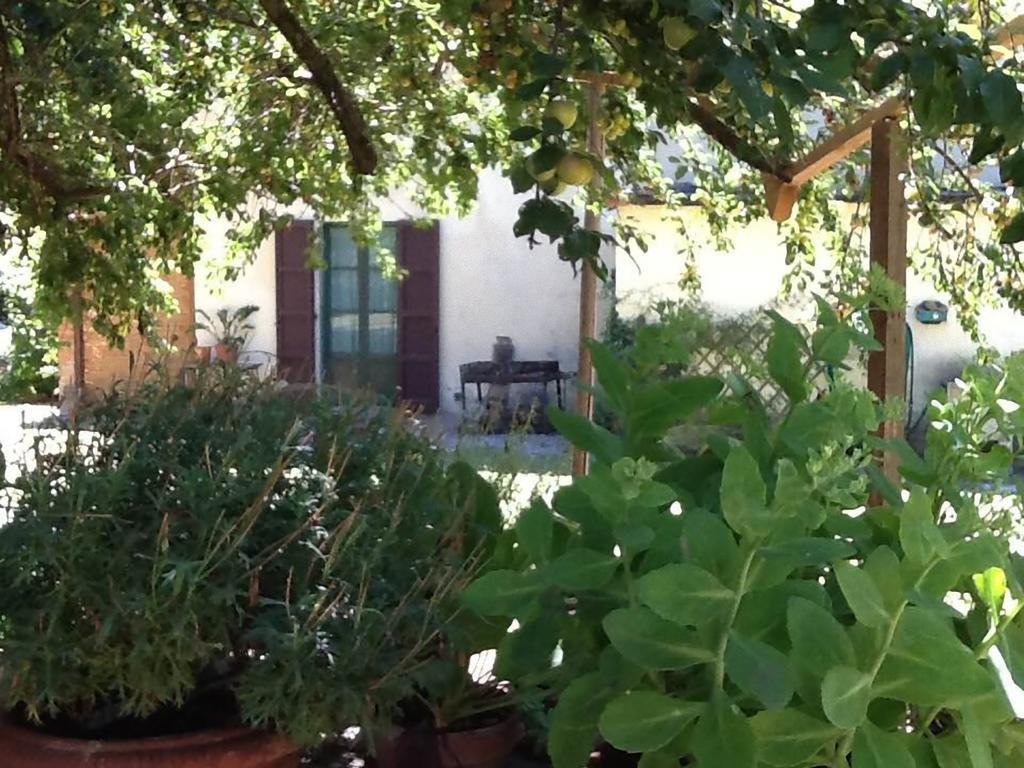 Bed & Breakfast Campo Alle Monache Bucine